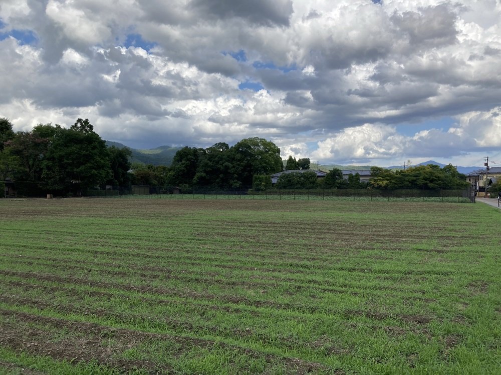 嵯峨野