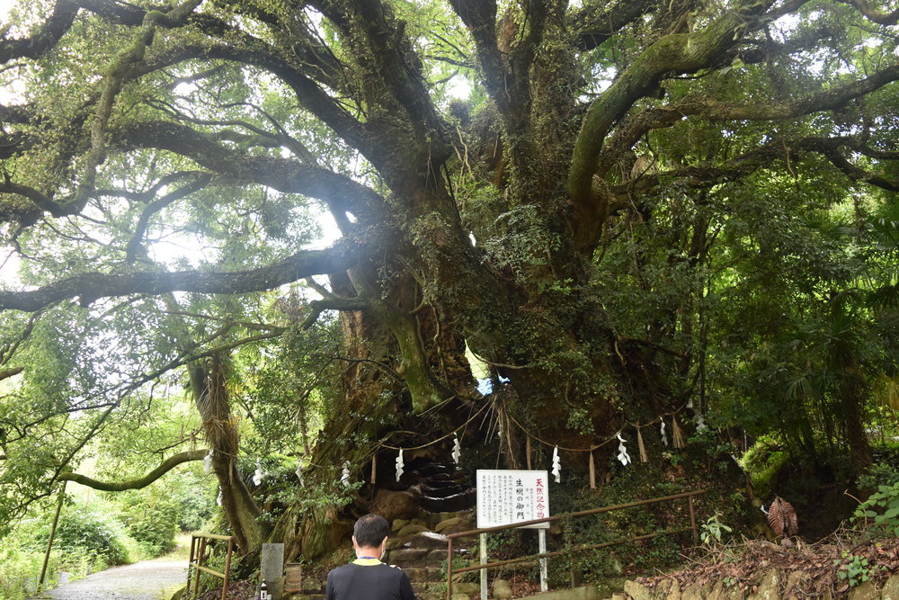 しまなみ海道縦断サイクリング