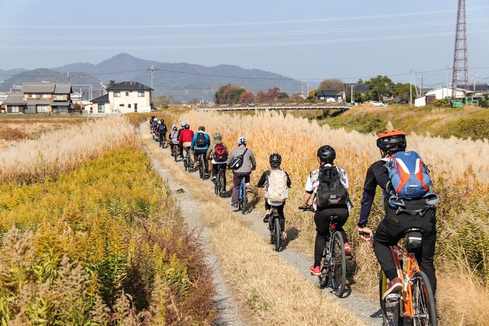 水郷めぐりサイクリング 