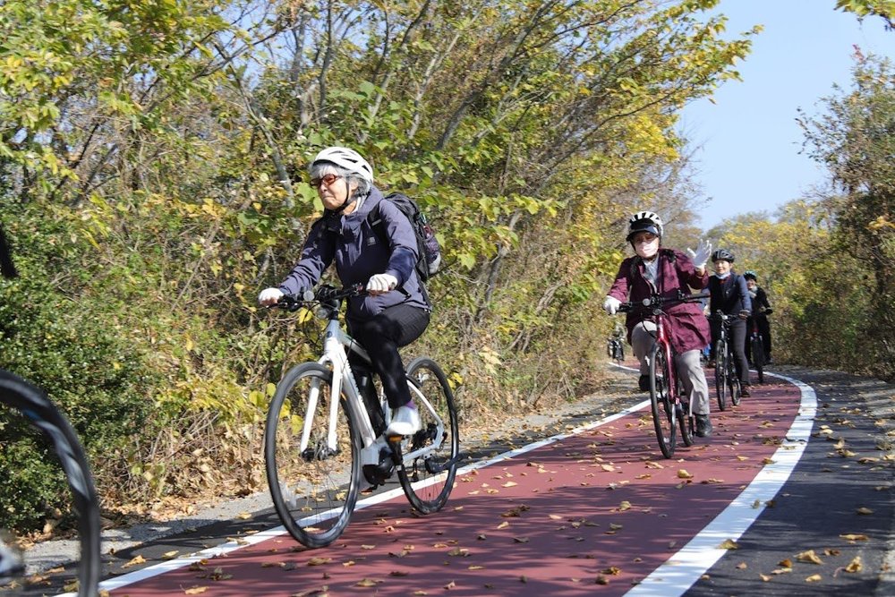 水郷めぐりサイクリング 