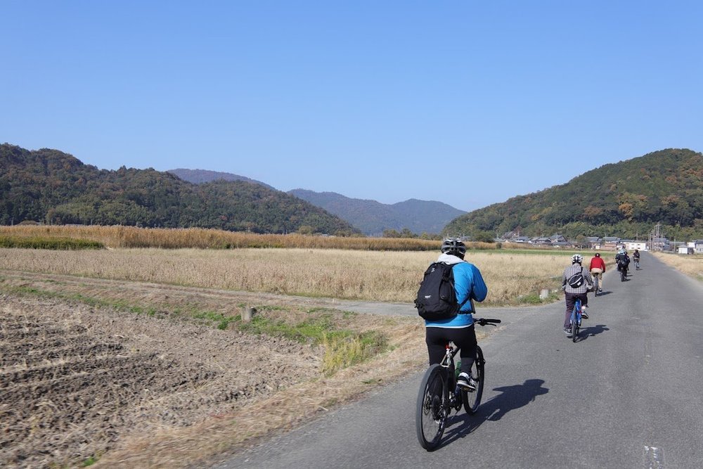 水郷めぐりサイクリング 