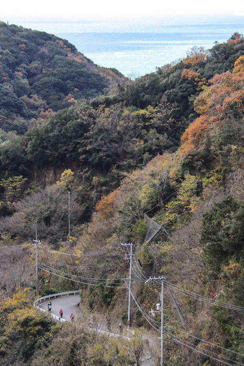 淡路島サイクリング