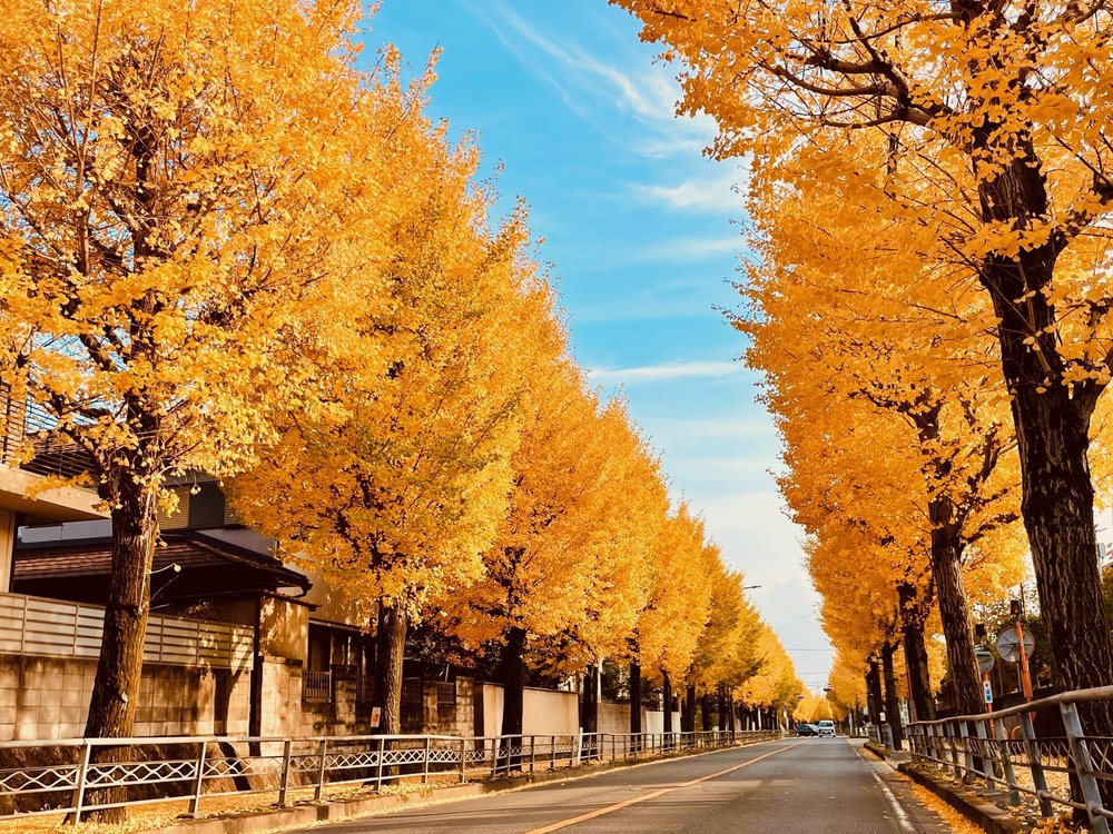 ツール・ド・京都西山