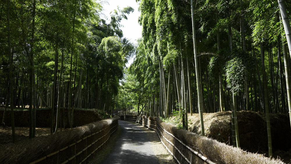 たけのみち 京都府向日市