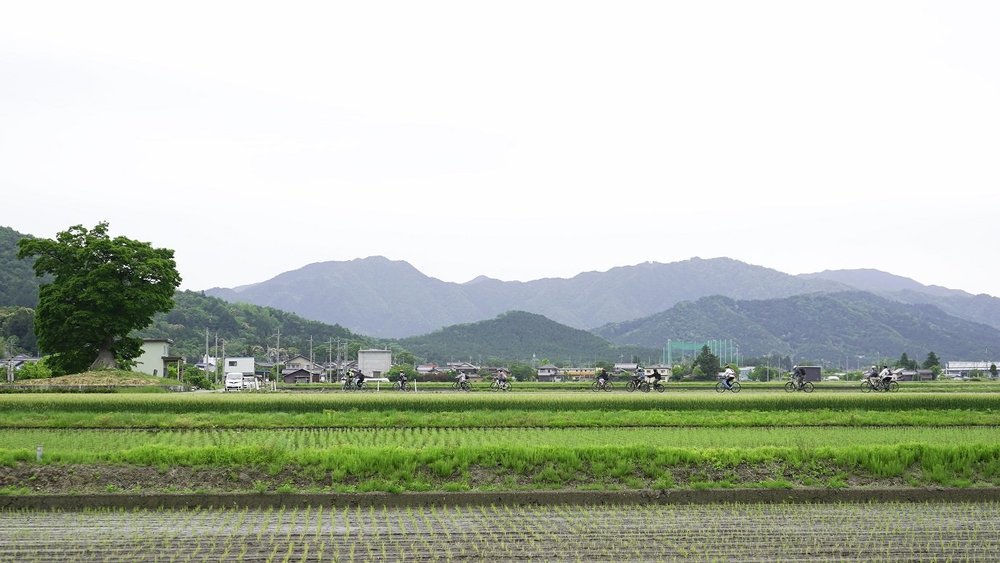 彦根満喫サイクリング