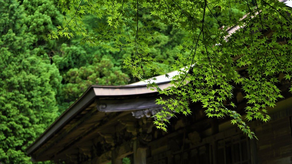 国宝のある里山 ～京都府綾部市～