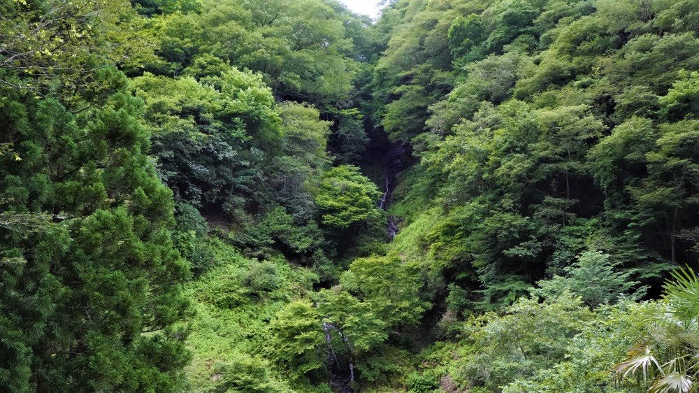 国宝のある里山 ～京都府綾部市～