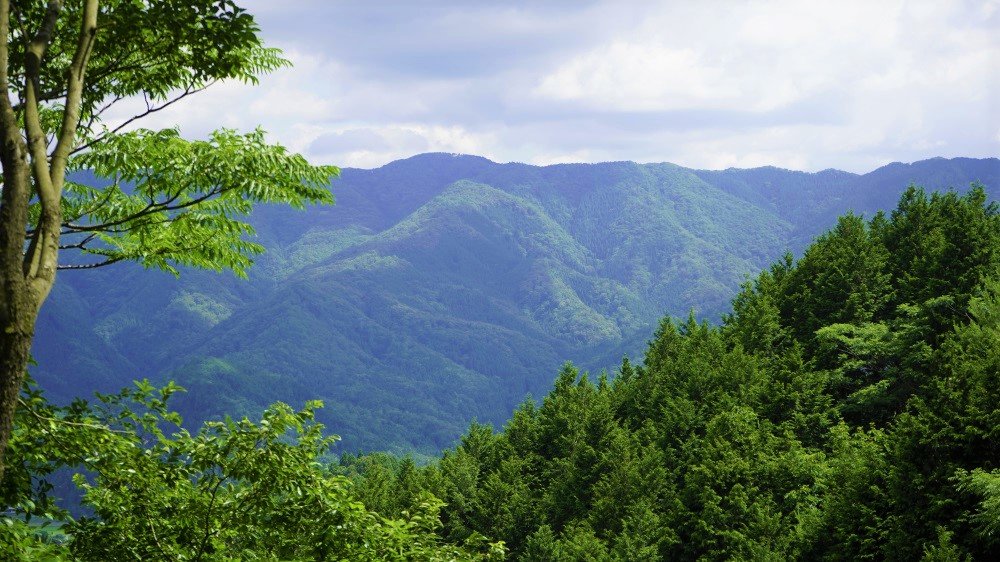 サイクリングスポット】国宝のある里山 ～京都府綾部市～ | コラム | ちりりん ー「知る」「体験する」「走る」あさひのサイクリングポータルサイトー