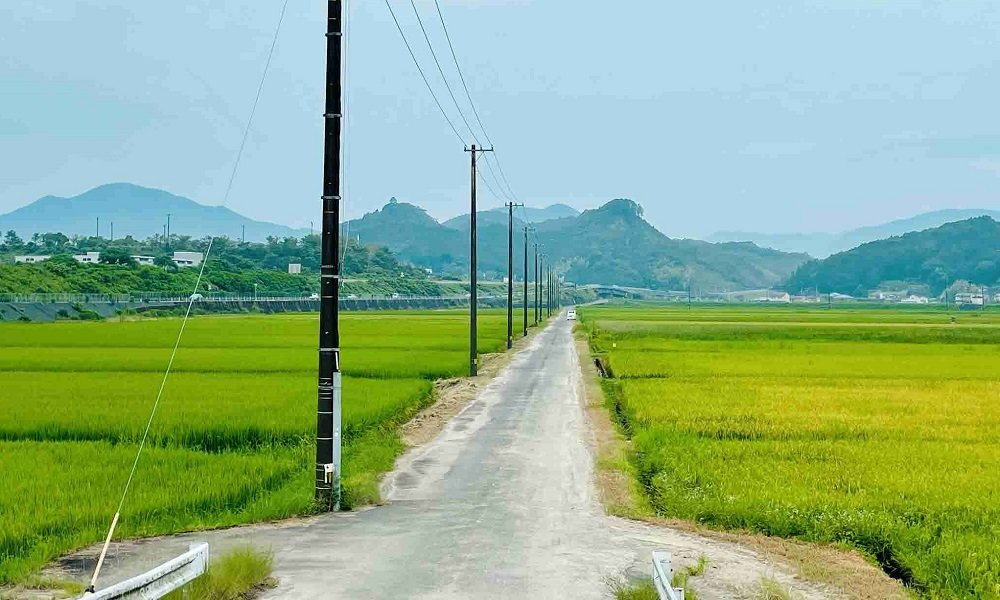 田園風景.jpg