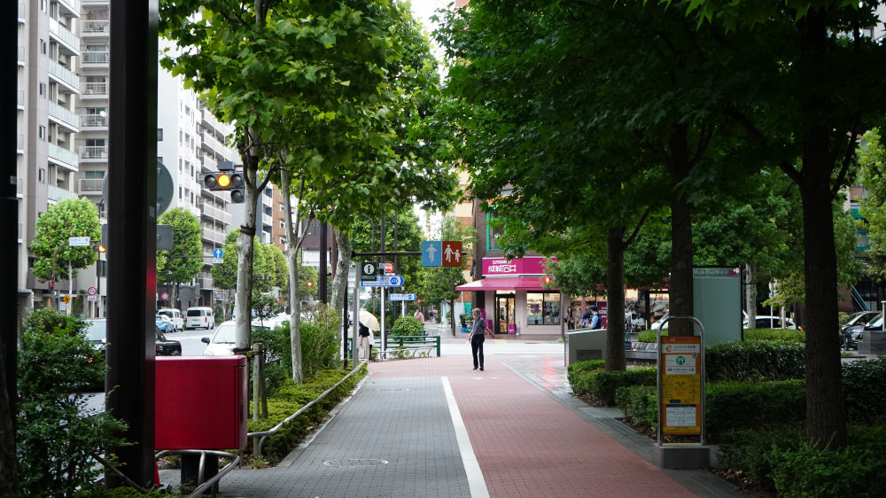 東京サイクリング 日本橋 両国 浅草 上野