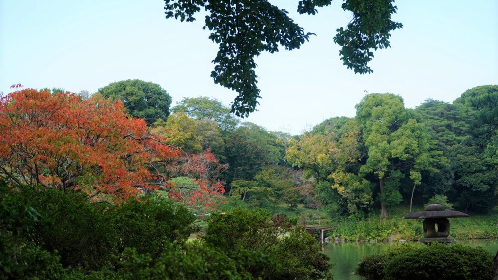 東京サイクリング 神保町 本郷 谷中 護国寺