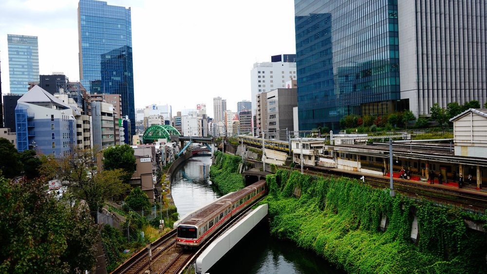 東京サイクリング 神保町 本郷 谷中 護国寺