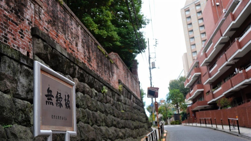 東京サイクリング 神保町 本郷 谷中 護国寺