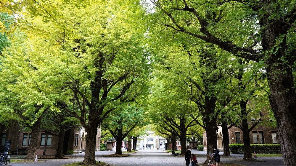 東京サイクリング 神保町 本郷 谷中 護国寺