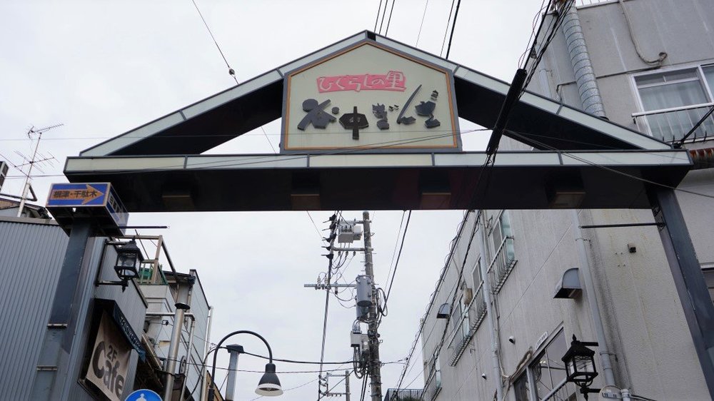 東京サイクリング 神保町 本郷 谷中 護国寺