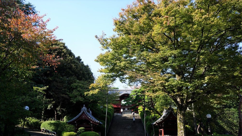 東京サイクリング 神保町 本郷 谷中 護国寺