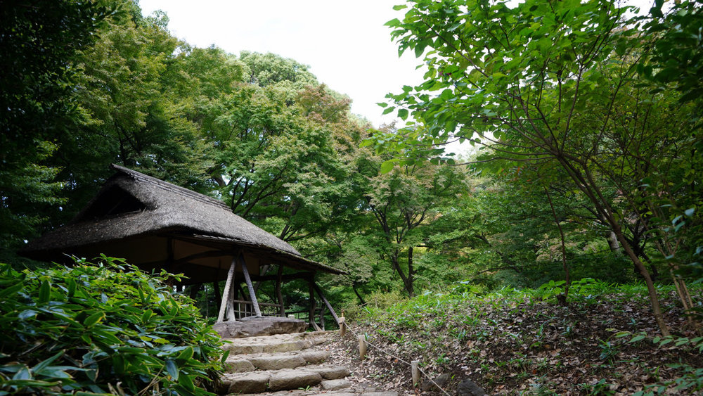 東京サイクリング 神保町 本郷 谷中 護国寺