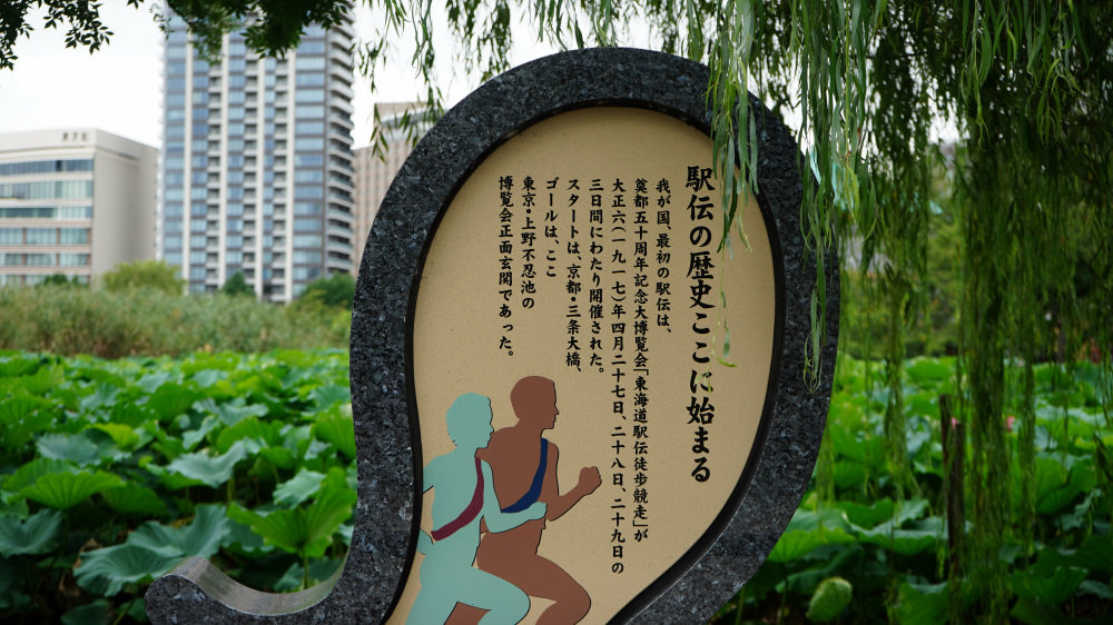 うさぎの神社に初詣サイクリング