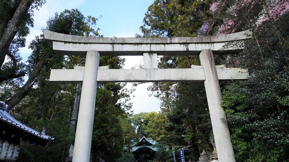 うさぎの神社に初詣サイクリング