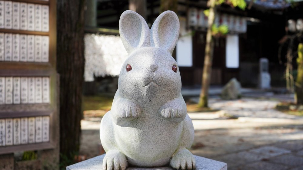 うさぎの神社に初詣サイクリング