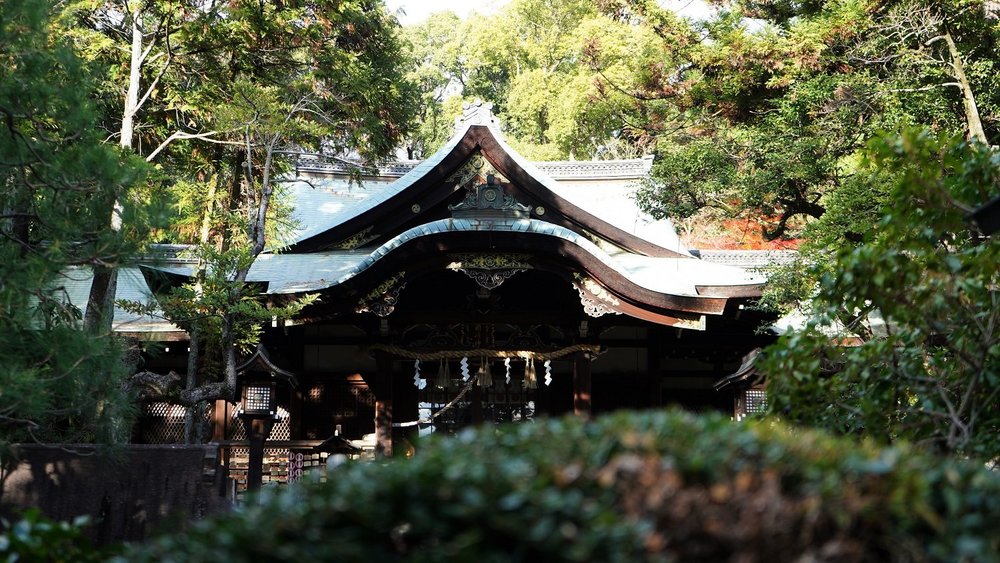 うさぎの神社に初詣サイクリング