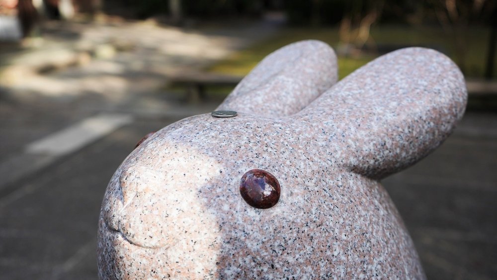 うさぎの神社に初詣サイクリング