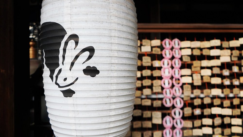 うさぎの神社に初詣サイクリング