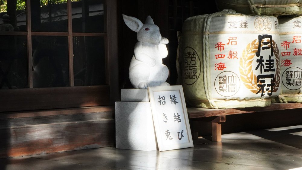 うさぎの神社に初詣サイクリング