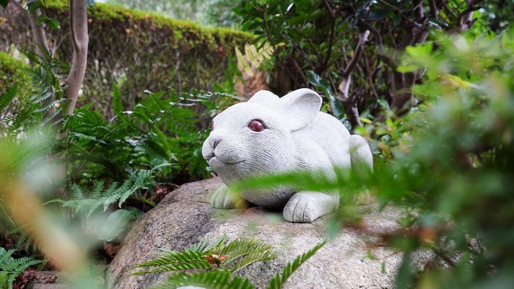 うさぎの神社に初詣サイクリング