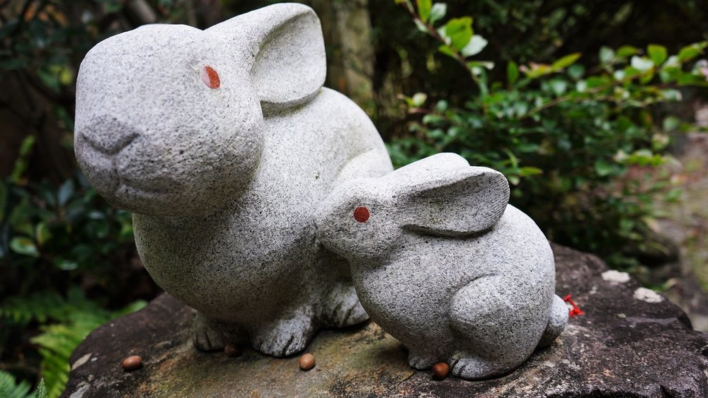 うさぎの神社に初詣サイクリング