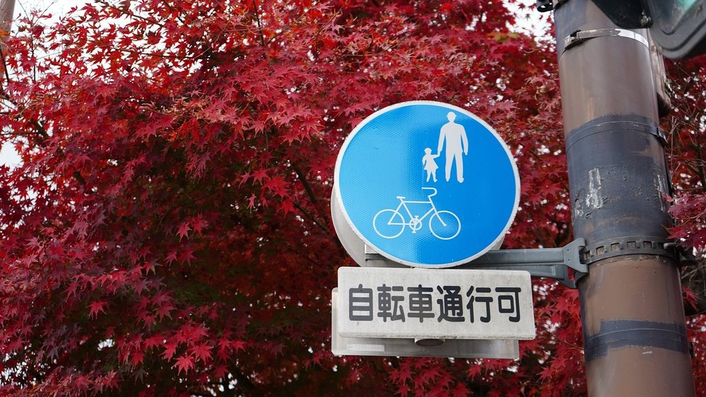 うさぎの神社に初詣サイクリング