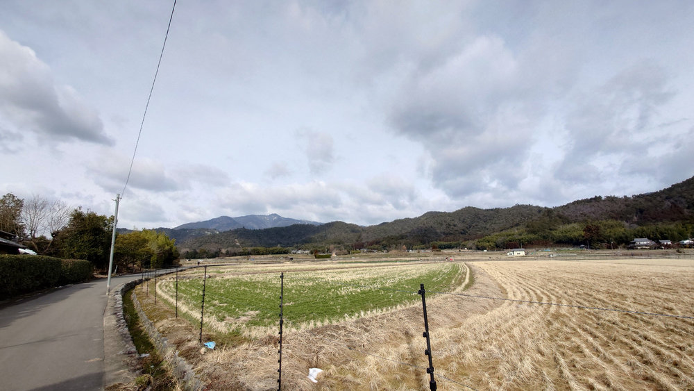 千代の古道 -梅宮大社・松尾大社