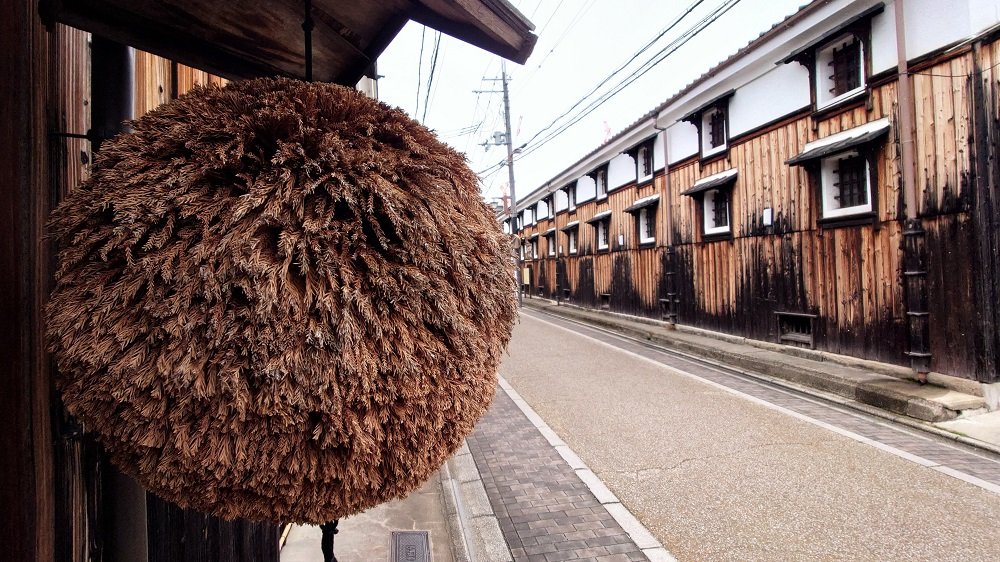 京都観光サイクリング 