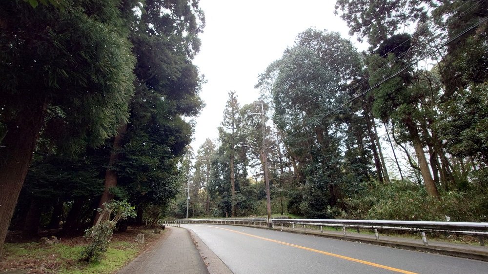 京都観光サイクリング 