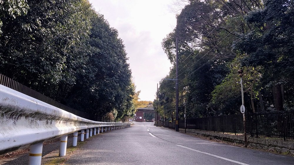 京都観光サイクリング 