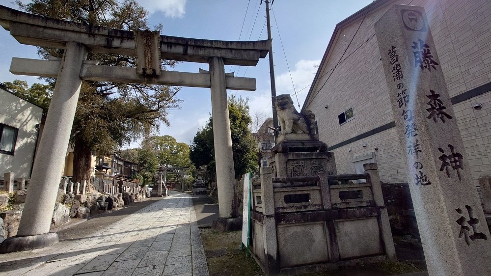 京都観光サイクリング 