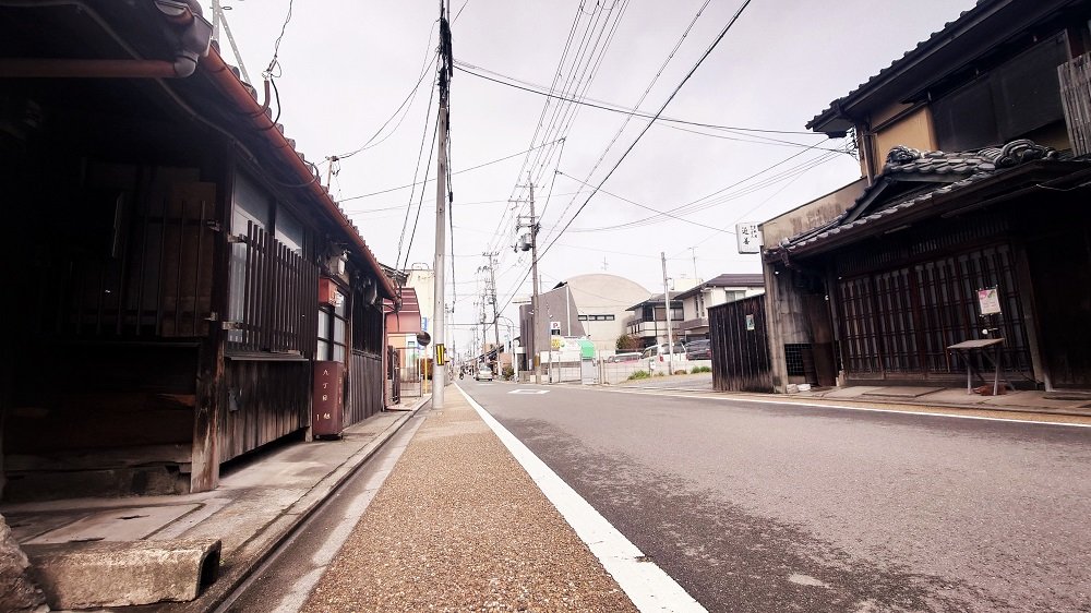 京都観光サイクリング 