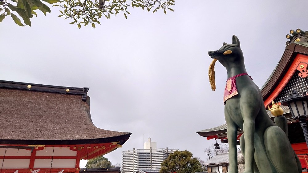 京都観光サイクリング 