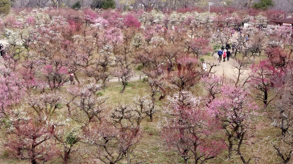 大阪 天王寺～中之島公園