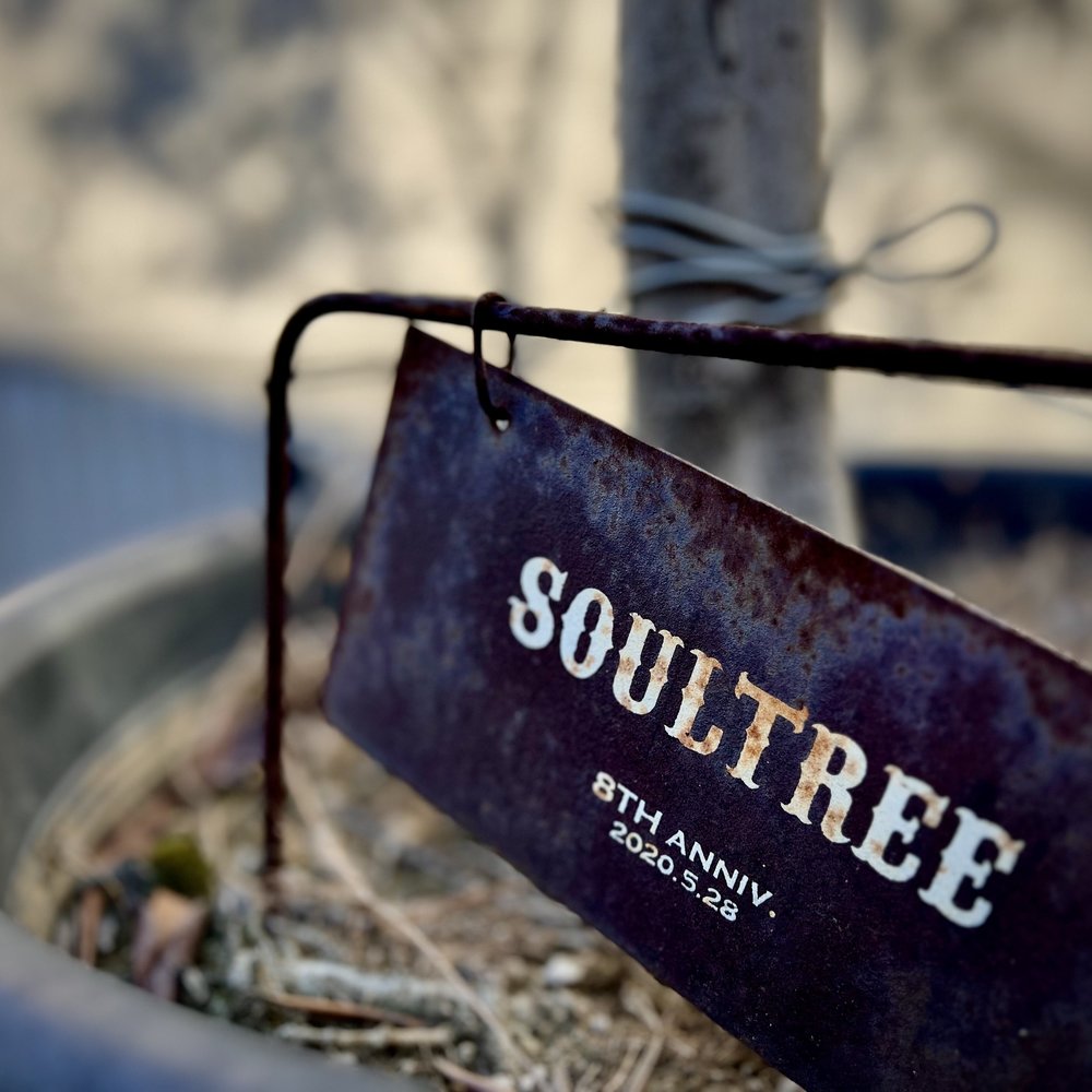 二子玉川 cafe SOULTREE