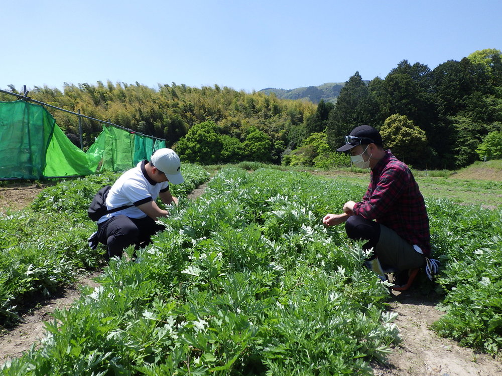 たけのこ掘り体験サイクリング