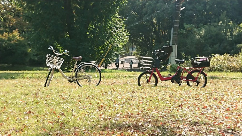 ①サイクリングの自転車.JPG