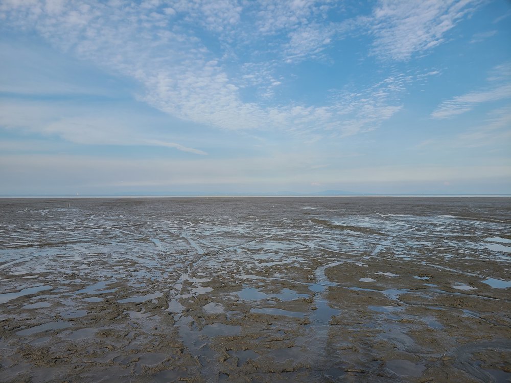 道の駅鹿島_干潟 (2).jpg