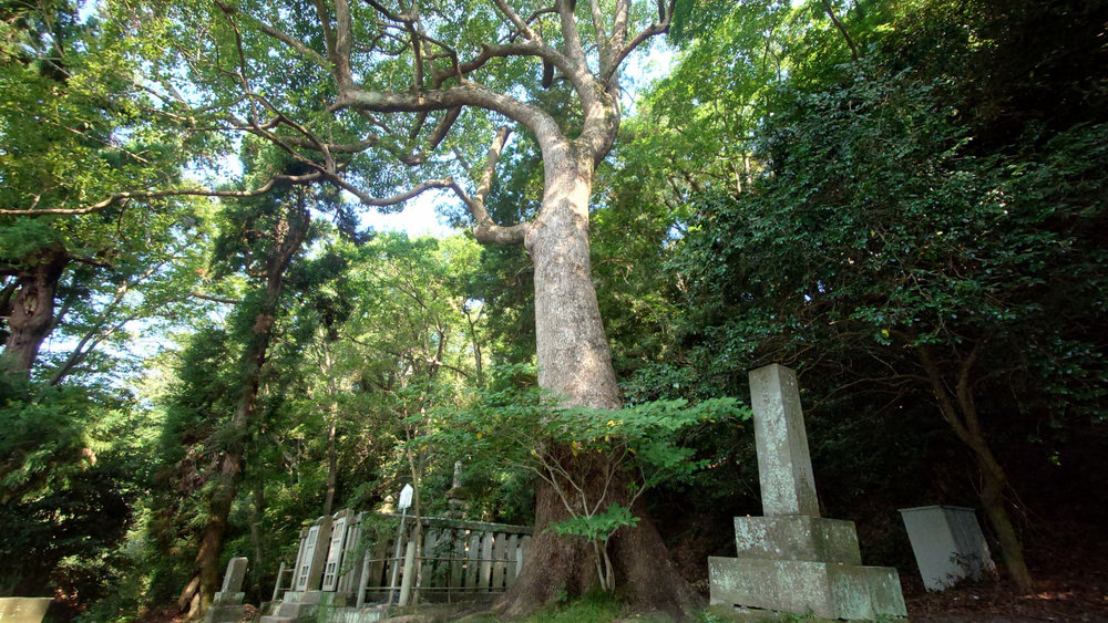 裏鎌倉サイクリング