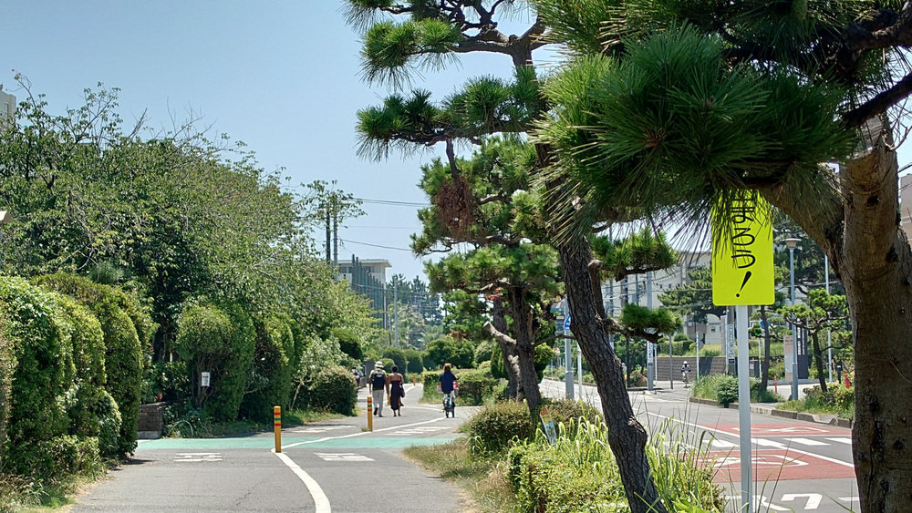 湘南サイクリング