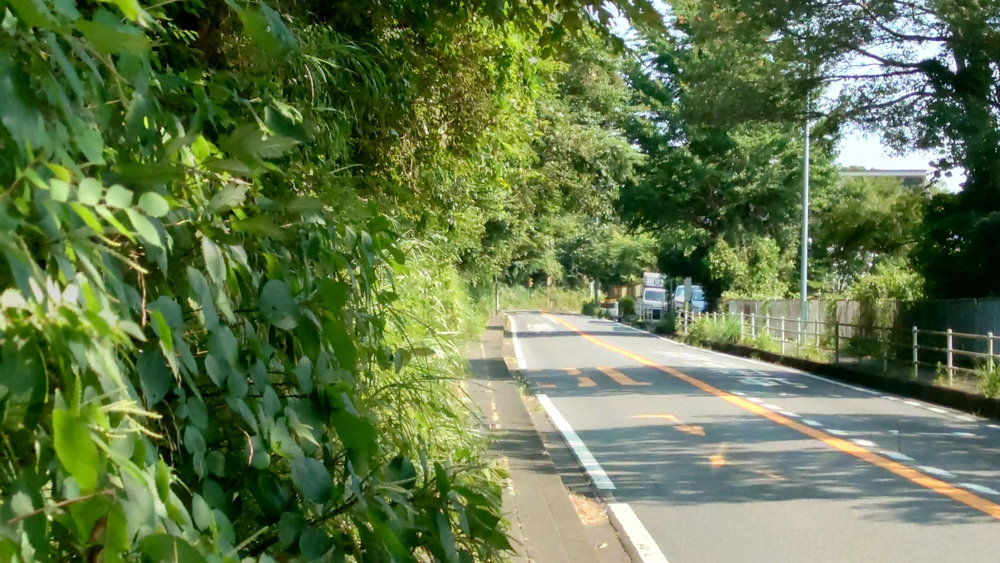 裏鎌倉サイクリング