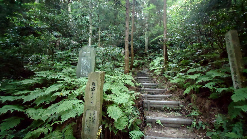 裏鎌倉サイクリング