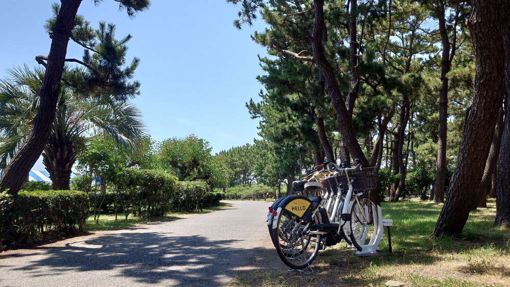 湘南サイクリング