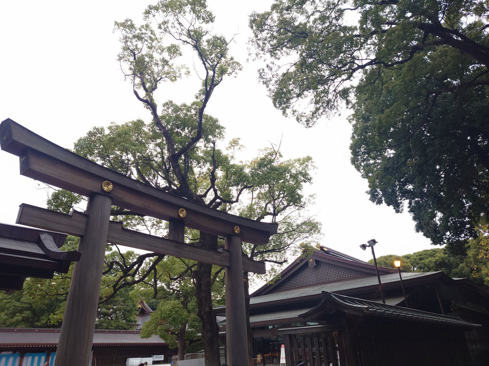 神田川から明治神宮 