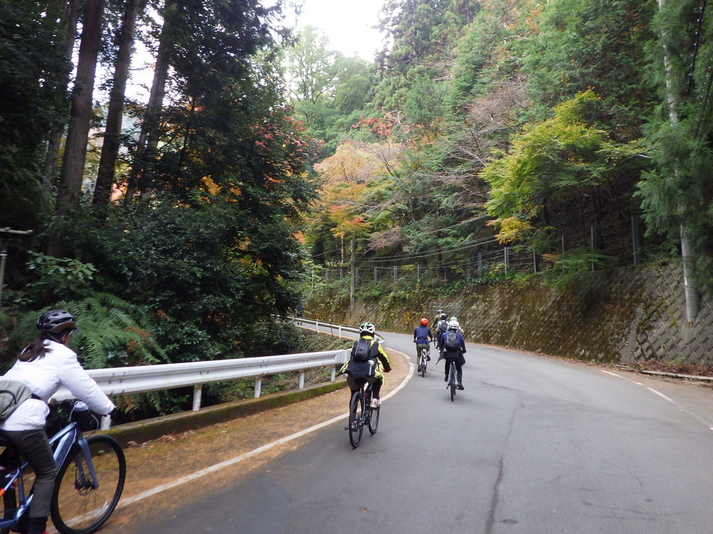 紅葉狩りサイクリング